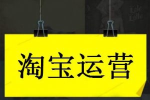 2020年零基础淘宝SEO运营实战,大数据时代精细化运营流程