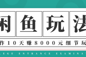 龟课·闲鱼项目玩法实战班第12期,操作10天左右利润有8000元细节玩法