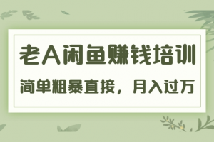 《老A闲鱼赚钱培训》简单粗暴直接,月入过万真正的闲鱼战术实课(51节课)