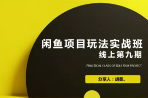 闲鱼项目玩法第9期蓝海营销项目,从0到1实操教您如何批量化去玩(完整版)