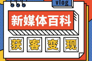 新媒体百科全书,手把手教会你玩转新媒体,快速搞定获客和变现