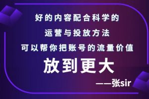 张sir账号流量增长课,告别海王流量,让你的流量更精准