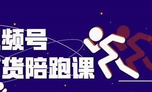 盗坤视频号带货训练营,从0到1实现视频号带货的选品、运营、变现以及货源等 价值4980