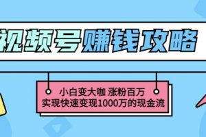 玩转微信视频号赚钱:小白变大咖涨粉百万实现快速变现1000万的现金流