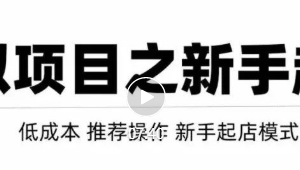 虚拟项目快速起店模式,0成本打造月入几万虚拟店铺!