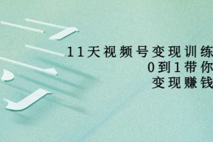 11天视频号变现训练营,从0到1打造变现赚钱系统(价值398元)