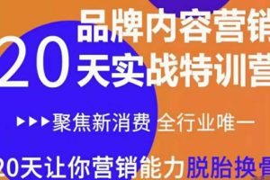 《内容营销实操特训营》20天让你营销能力脱胎换骨(价值3999)