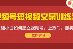 视频号短视频文案训练营:0基础小白如何建立视频号,上热门,能卖货!
