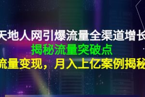 天地人网引爆流量全渠道增长:揭秘流量突然破点,流量变现,月入上亿案例