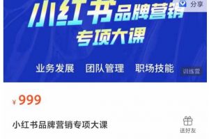 小红书品牌营销专项大课,操盘手进阶,一套能让你提升业务精进的课程