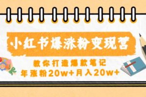 小红书爆涨粉变现营,教你打造爆款笔记,年涨粉20w+月入20w