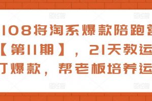 108将淘系爆款陪跑营【第11期】,21天教运营打爆款,帮老板培养运营