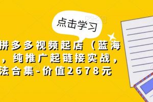 小乔·拼多多视频起店(蓝海项目),纯推广起链接实战,多玩法合集-价值2678元