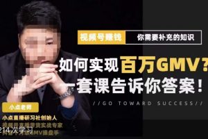 视频号变现进阶课,视频号六大变现模式,对平台的各项功能详细讲解,让你快速选择赛道