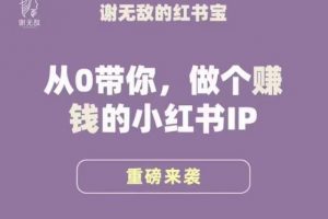 谢无敌·小红书运营大宝典,从0带你做个赚钱的小红书IP