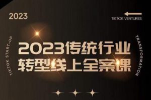 数据哥2023传统行业转型线上全案课,2023年传统行业如何转型线上,线上创业/传统转型避坑宝典