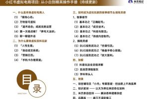 米杰虚拟电商训练营2.0,千万市场!虚拟电商重现江湖,项目玩法大公开【详细教程】