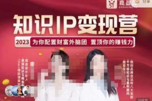 鹿盈盈-知识IP变现实操营,普通人可复制的知识产品落地实操课,带你打通知识IP变现底层逻辑