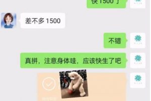 第九公社流量合伙人项目,一整套私域流量课程,教你在互联网搞流量,卖产品,搞成交,搞转化