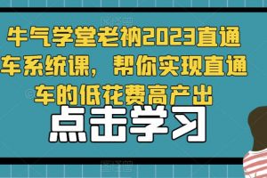 牛气学堂老衲2023直通车系统课,帮你实现直通车的低花费高产出