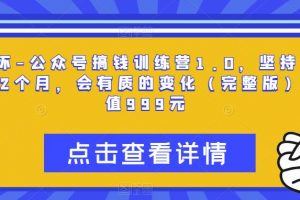 坏坏-公众号搞钱训练营1.0,坚持个1-2个月,会有质的变化(完整版)价值999元