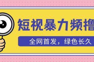 外面收费1680的短视频暴力撸金,日入300+长期可做,赠自动收款平台
