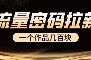 流量密码拉新项目, 一个作品几百块