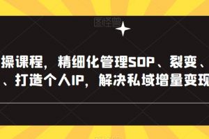 私域实操课程,精细化管理SOP、裂变、复购、转粉、打造个人IP,解决私域增量变现问题