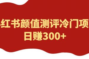 外面1980的项目,小红书颜值测评冷门项目,日赚300+【揭秘】