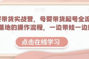 母婴带货实战营,母婴带货起号全流程,可落地的操作流程,一边带娃一边赚钱(附素材)