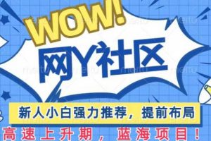 有道词典WOW社区项目,新人小白强力推荐,提前布局,高速上升期,蓝海项目【揭秘】