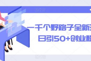 一千个野路子全新玩法,日引50+创业粉【揭秘】