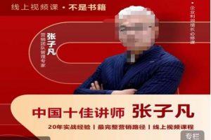 张子凡·20年实战经验,揭秘营销背后的底层逻辑,突破思维局限,从根本上破解营销难题
