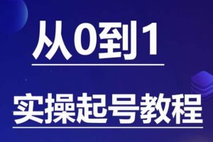 石野·小白起号实操教程,掌握各种起号的玩法技术,了解流量的核心