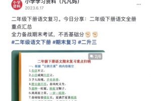 图文去重搬运玩法,坚持执行日入300+,适合大部分项目(附带去重参数)
