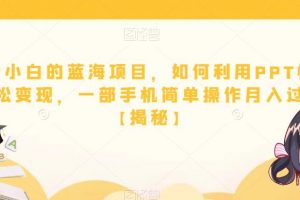 适合小白的蓝海项目,如何利用PPT模板轻松变现,一部手机简单操作月入过万【揭秘】