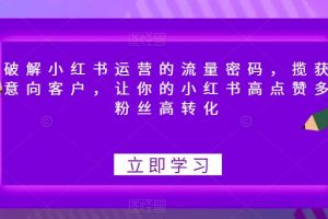 破解小红书运营的流量密码,揽获意向客户,让你的小红书高点赞多粉丝高转化