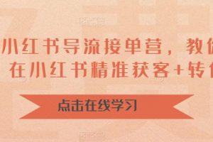 16天小红书导流接单营,教你引爆流量,在小红书精准获客+转化成交