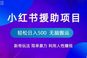 小红书援助项目新奇玩法,简单暴力,无脑搬运轻松日入500【揭秘】