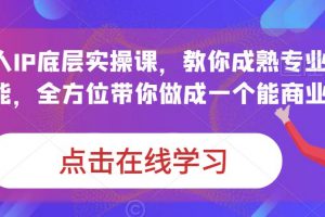 蟹老板·打爆个人IP底层实操课,教你成熟专业的打造IP技能,全方位带你做成一个能商业化IP