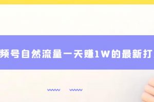 视频号自然流量一天赚1W的最新打法,基本0投资【揭秘】
