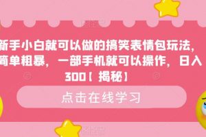 新手小白就可以做的搞笑表情包玩法,简单粗暴,一部手机就可以操作,日入300【揭秘】