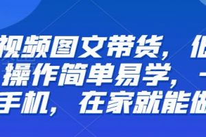 【推荐】短视频图文带货,低门槛,操作简单易学,一部手机,在家就能做