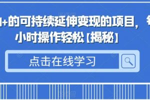 日入500+的可持续延伸变现的项目,每天2小时操作轻松【揭秘】