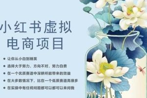 小红书虚拟电商从0到1,让你从小白到精英(20节实操课程)