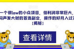 一个很low的小众项目,但利润非常巨大,闷声发大财的首选副业,操作的好月入过万【揭秘】