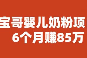 宝哥婴儿奶粉项目,6个月赚85w【图文非视频】【揭秘】