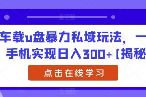 车载u盘暴力私域玩法,一部手机实现日入300+【揭秘】