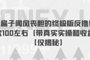 让马扁子闻风丧胆的终极版反撸教程,一次100左右(带真实实操和收益图)【仅揭秘】
