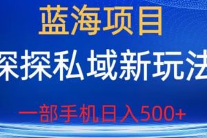 蓝海项目,探探私域新玩法,一部手机日入500+很轻松【揭秘】